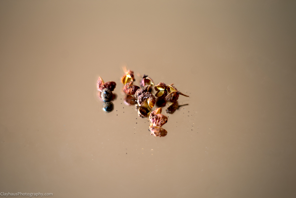 ClayhausPhotography-CLAY1035-40-edit-fs