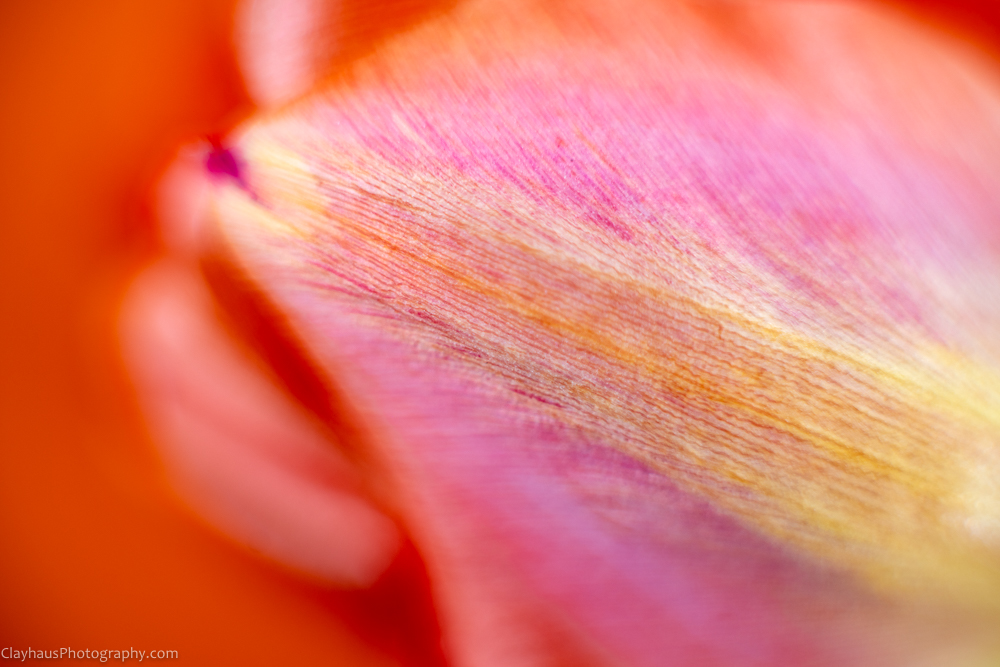 ClayhausPhotography-CLAY1128-Edit