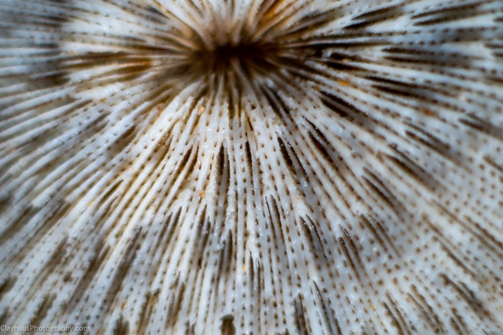 ClayhausPhotography-CLAY1168-Edit