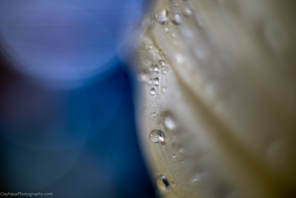 ClayhausPhotography-CLAY1201-Edit