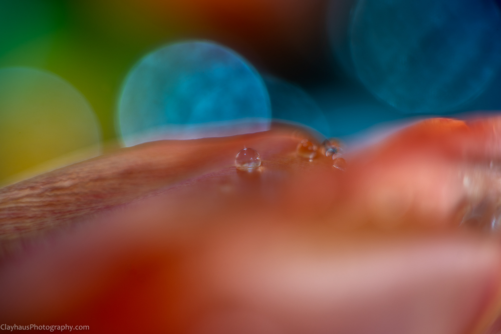 ClayhausPhotography-CLAY1219-Edit
