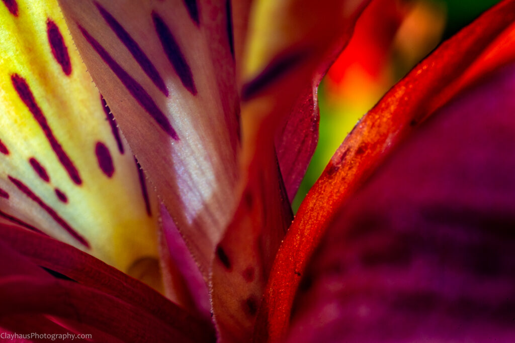 ClayhausPhotography-CLAY1805-Edit